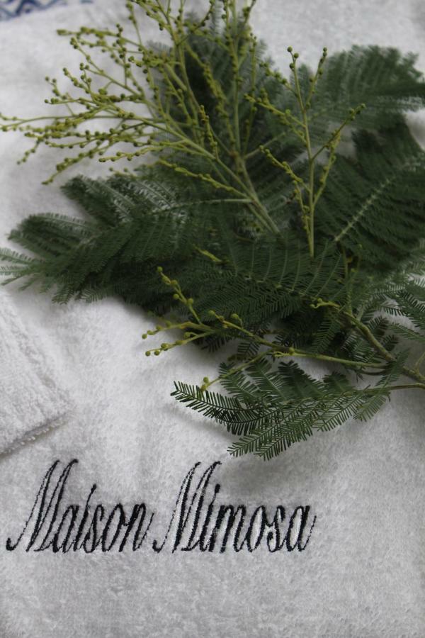 Maison Mimosa Névez Buitenkant foto