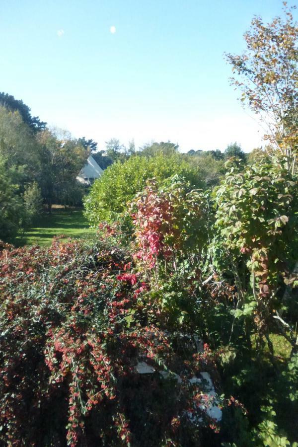Maison Mimosa Névez Buitenkant foto